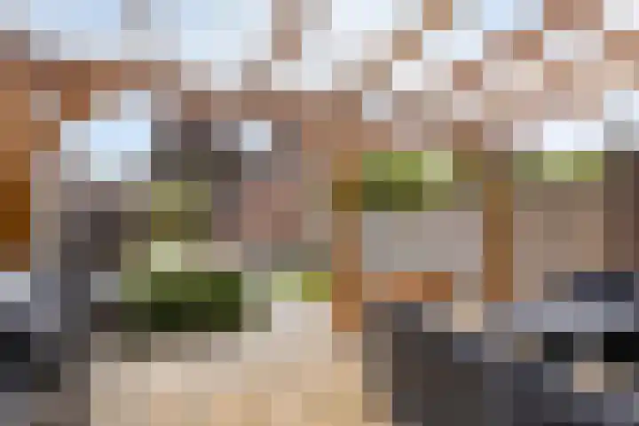Genhoes 10 's-Hertogenbosch thumbnail 24