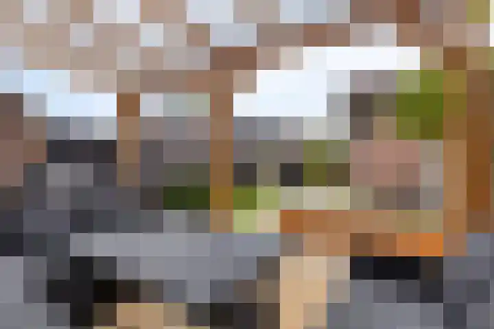 Genhoes 10 's-Hertogenbosch thumbnail 25