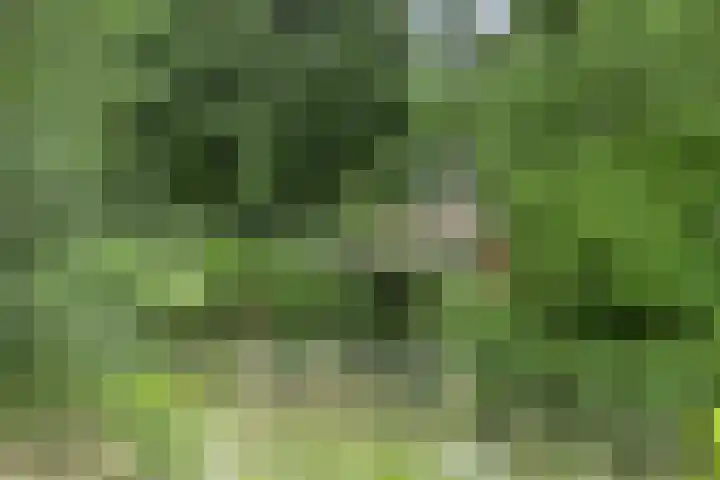 Genhoes 10 's-Hertogenbosch thumbnail 34
