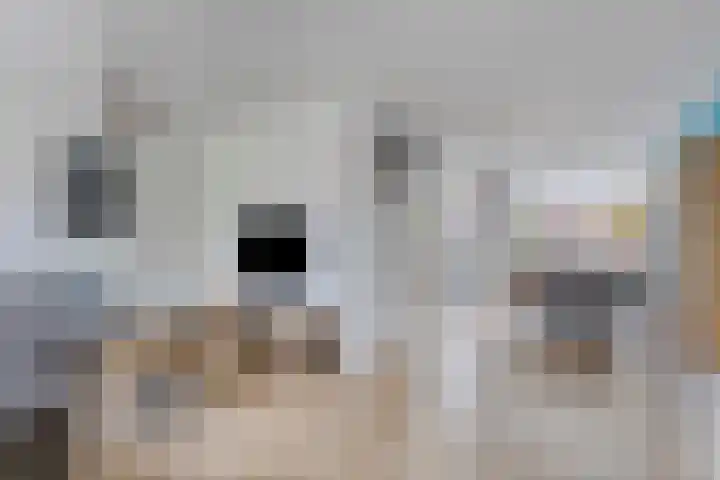Genhoes 10 's-Hertogenbosch thumbnail 5