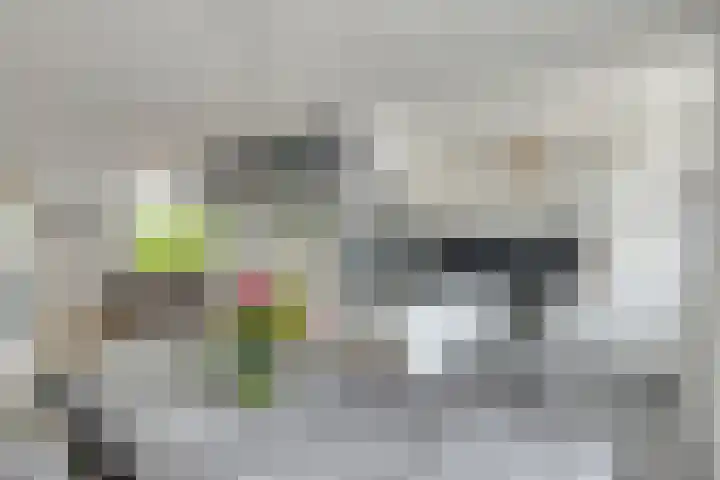 Genhoes 10 's-Hertogenbosch thumbnail 7