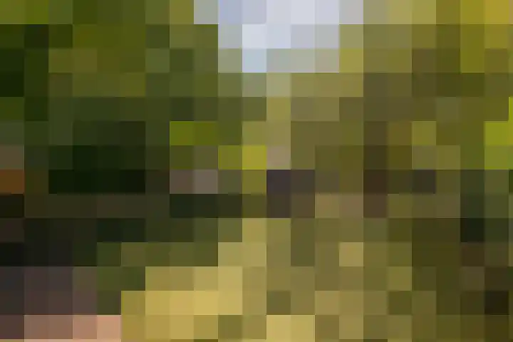 Genhoes 17 Amsterdam thumbnail 13
