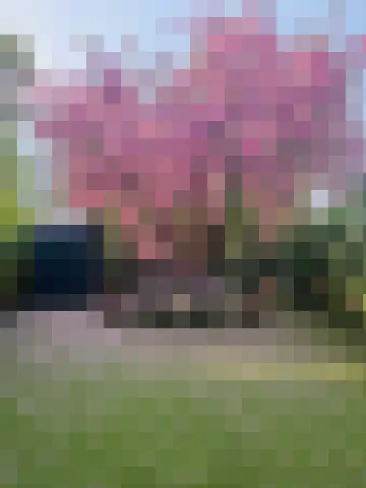 Genhoes 17 Amsterdam thumbnail 14