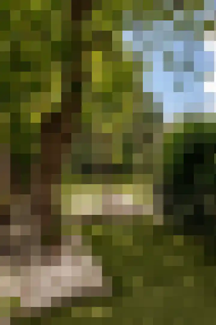 Genhoes 17 Amsterdam thumbnail 17