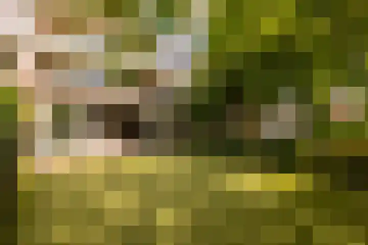 Genhoes 17 Amsterdam thumbnail 18