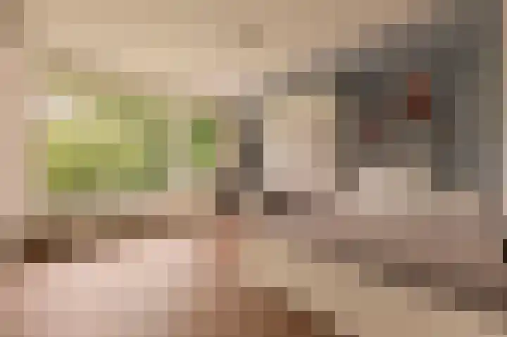 Genhoes 17 Amsterdam thumbnail 20