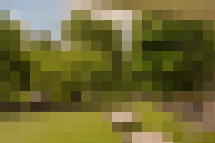 Genhoes 17 Amsterdam thumbnail 23