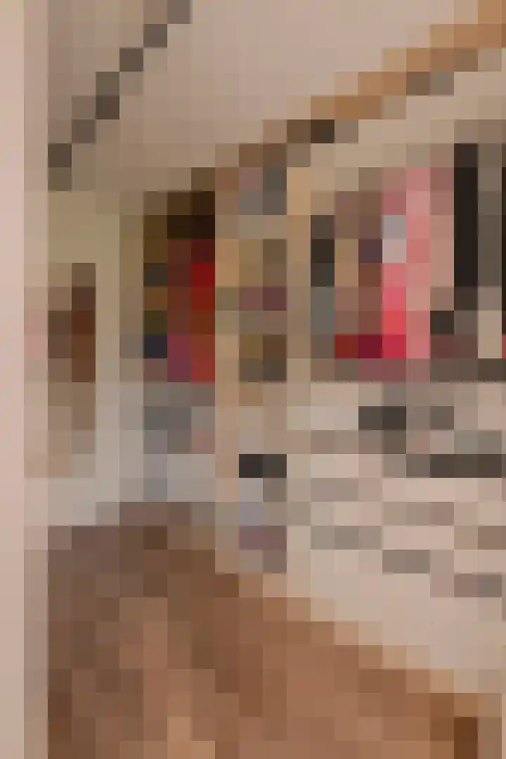 Genhoes 17 Amsterdam thumbnail 30