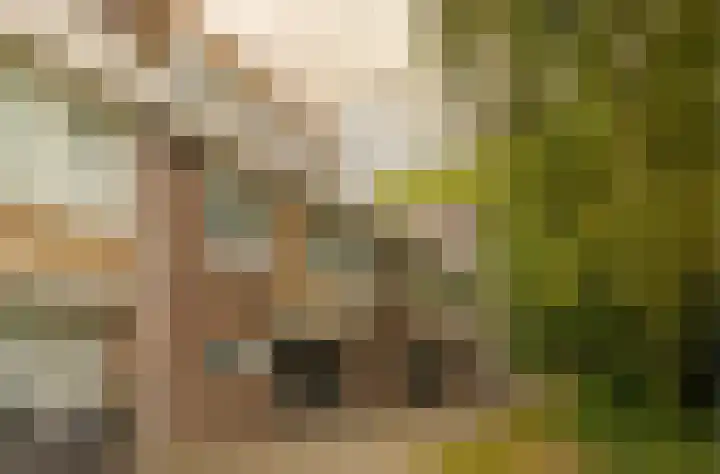 Genhoes 17 Amsterdam thumbnail 36