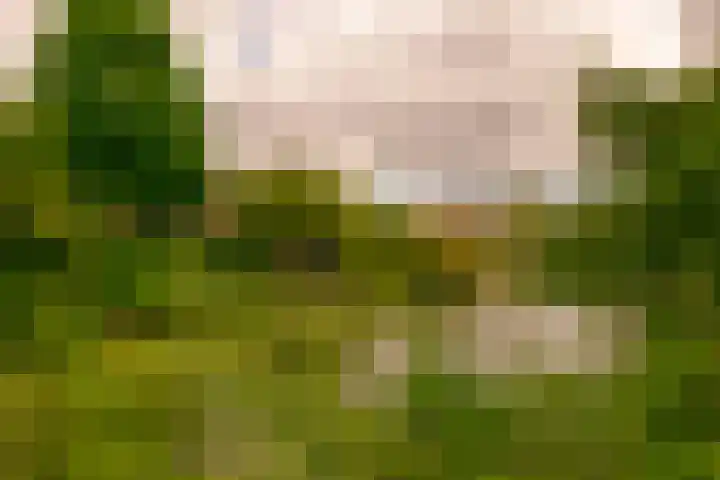 Genhoes 17 Amsterdam thumbnail 37