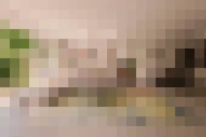 Genhoes 17 Amsterdam thumbnail 5