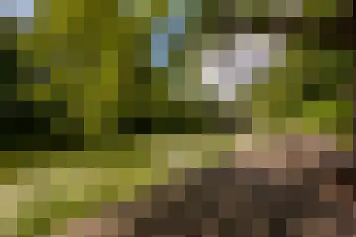 Genhoes 17 Amsterdam thumbnail 50