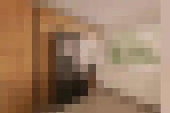 Genhoes 17 Amsterdam thumbnail 7