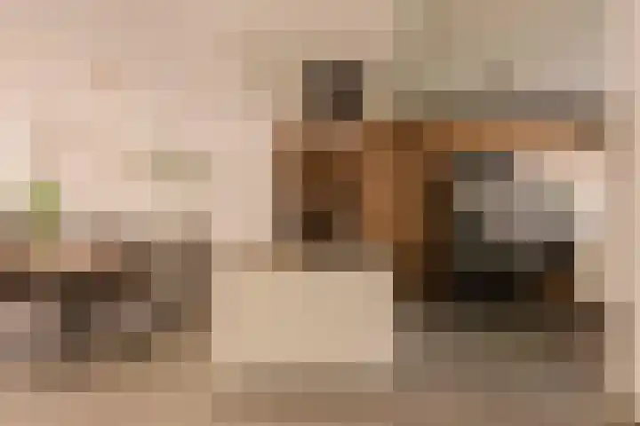 Genhoes 17 Amsterdam thumbnail 8