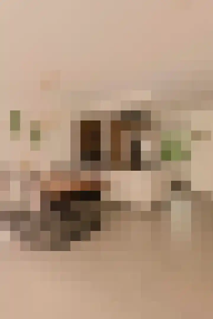 Genhoes 17 Amsterdam thumbnail 9