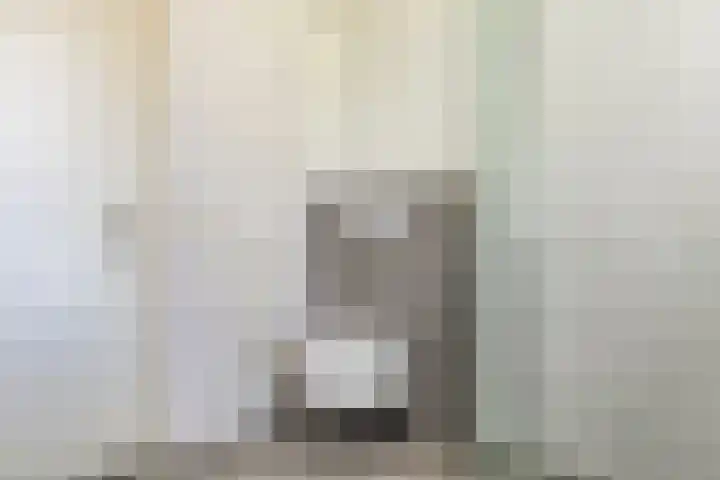 Genhoes 20 's-Hertogenbosch thumbnail 24