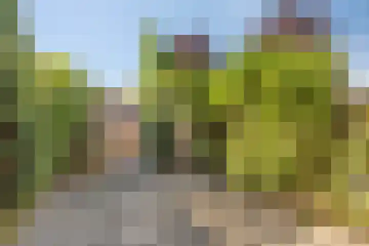 Genhoes 20 's-Hertogenbosch thumbnail 33