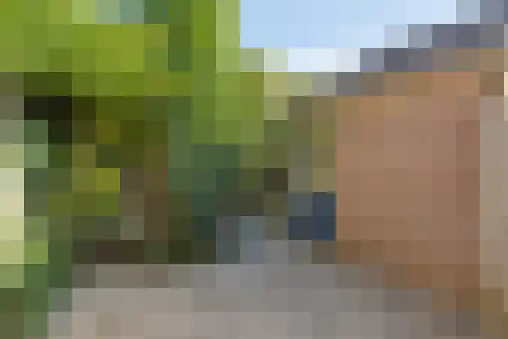 Genhoes 20 's-Hertogenbosch thumbnail 34