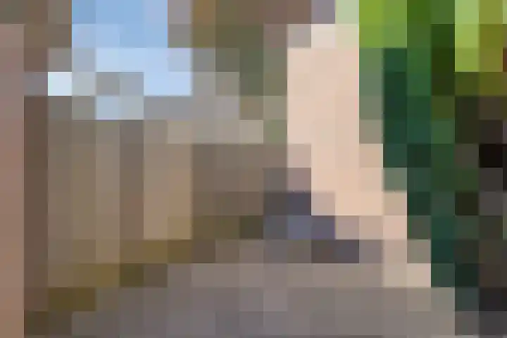 Genhoes 20 's-Hertogenbosch thumbnail 35