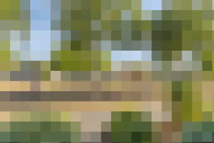 Genhoes 20 's-Hertogenbosch thumbnail 37