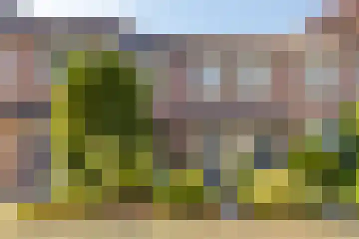 Genhoes 20 's-Hertogenbosch thumbnail 7