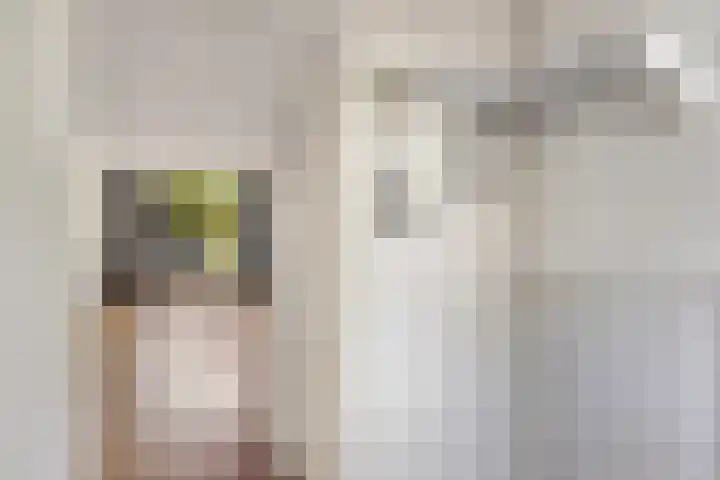 Genhoes 20 's-Hertogenbosch thumbnail 9