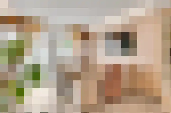 Genhout 15 Swalmen thumbnail 11