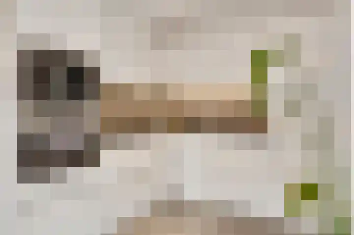 Genhout 15 Swalmen thumbnail 12