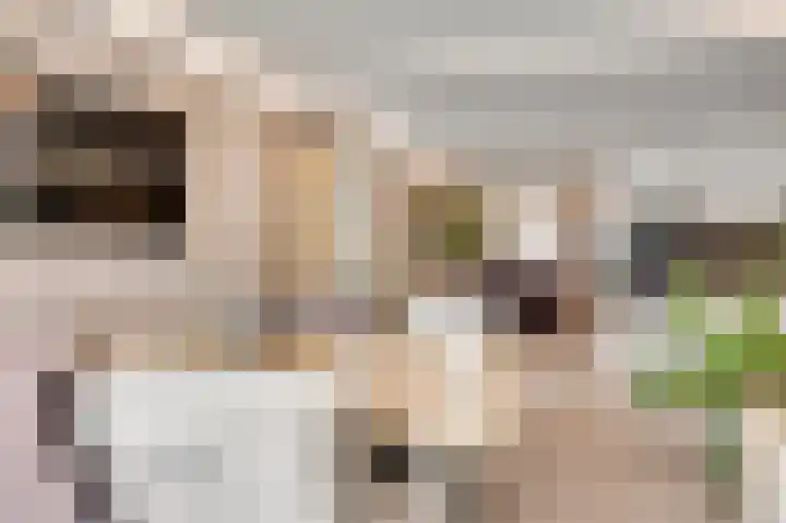 Genhout 15 Swalmen thumbnail 14