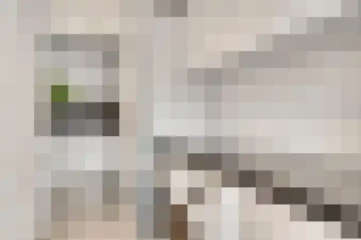 Genhout 15 Swalmen thumbnail 15