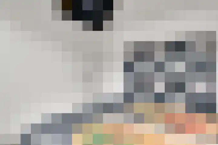 Genhout 15 Swalmen thumbnail 21