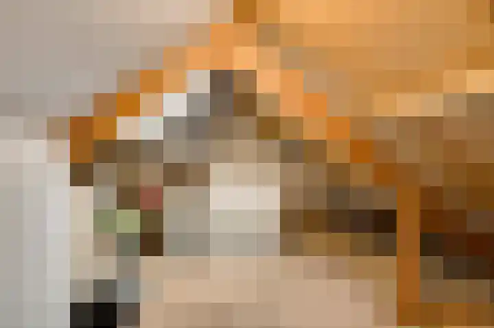 Genhout 15 Swalmen thumbnail 24