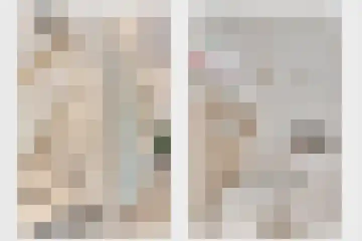 Genhout 15 Swalmen thumbnail 5