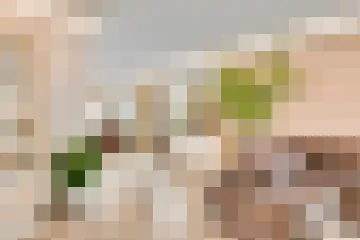 Genhout 15 Swalmen thumbnail 6
