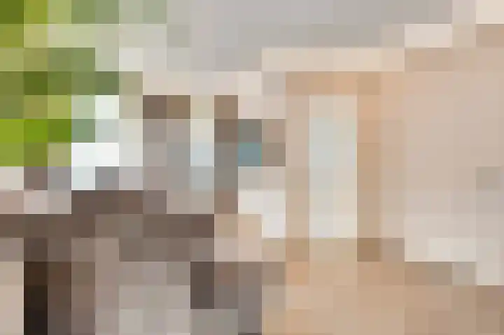 Genhout 15 Swalmen thumbnail 8