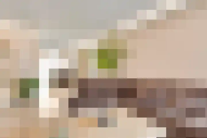 Genhout 15 Swalmen thumbnail 9