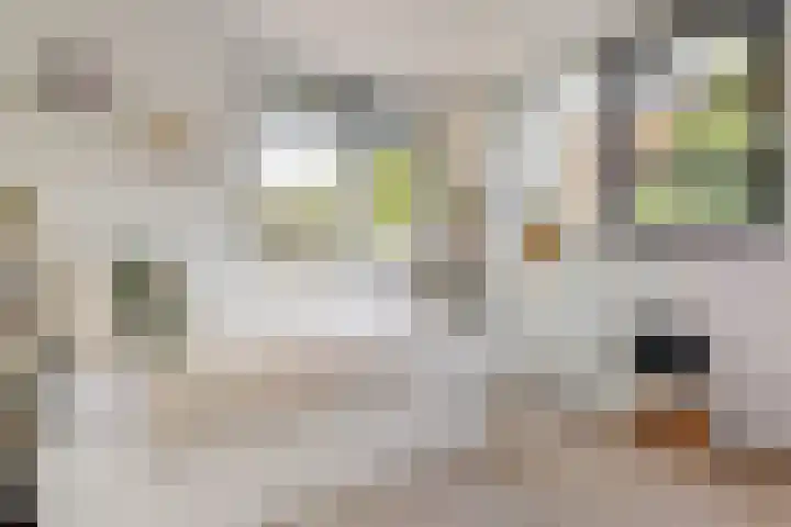 Genialisweg 10 De Meern thumbnail 16