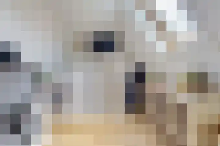 Genialisweg 10 De Meern thumbnail 31
