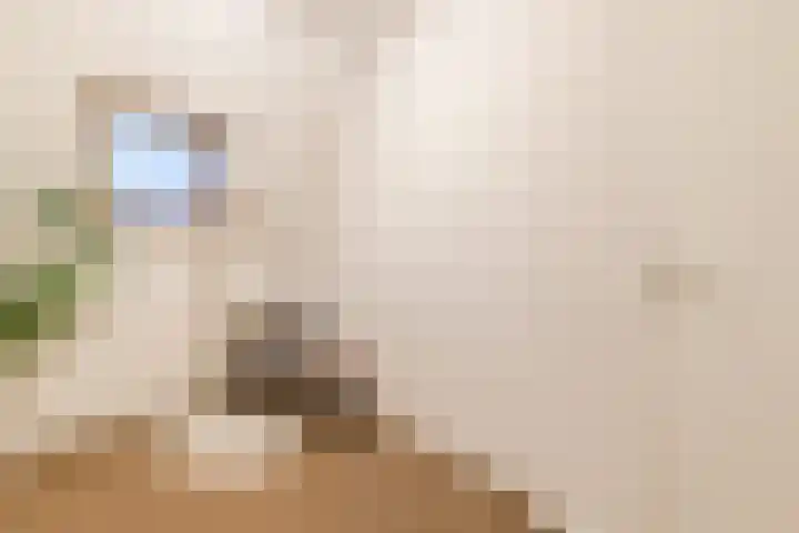 Genialisweg 8 De Meern thumbnail 44