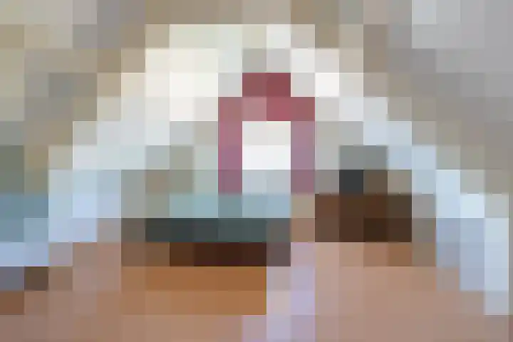 Geniepad 11 Gorinchem thumbnail 23
