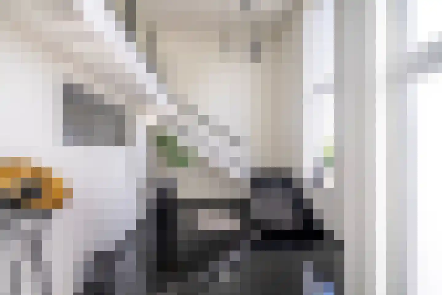 Genieskensstraat 11 Arriën thumbnail 10