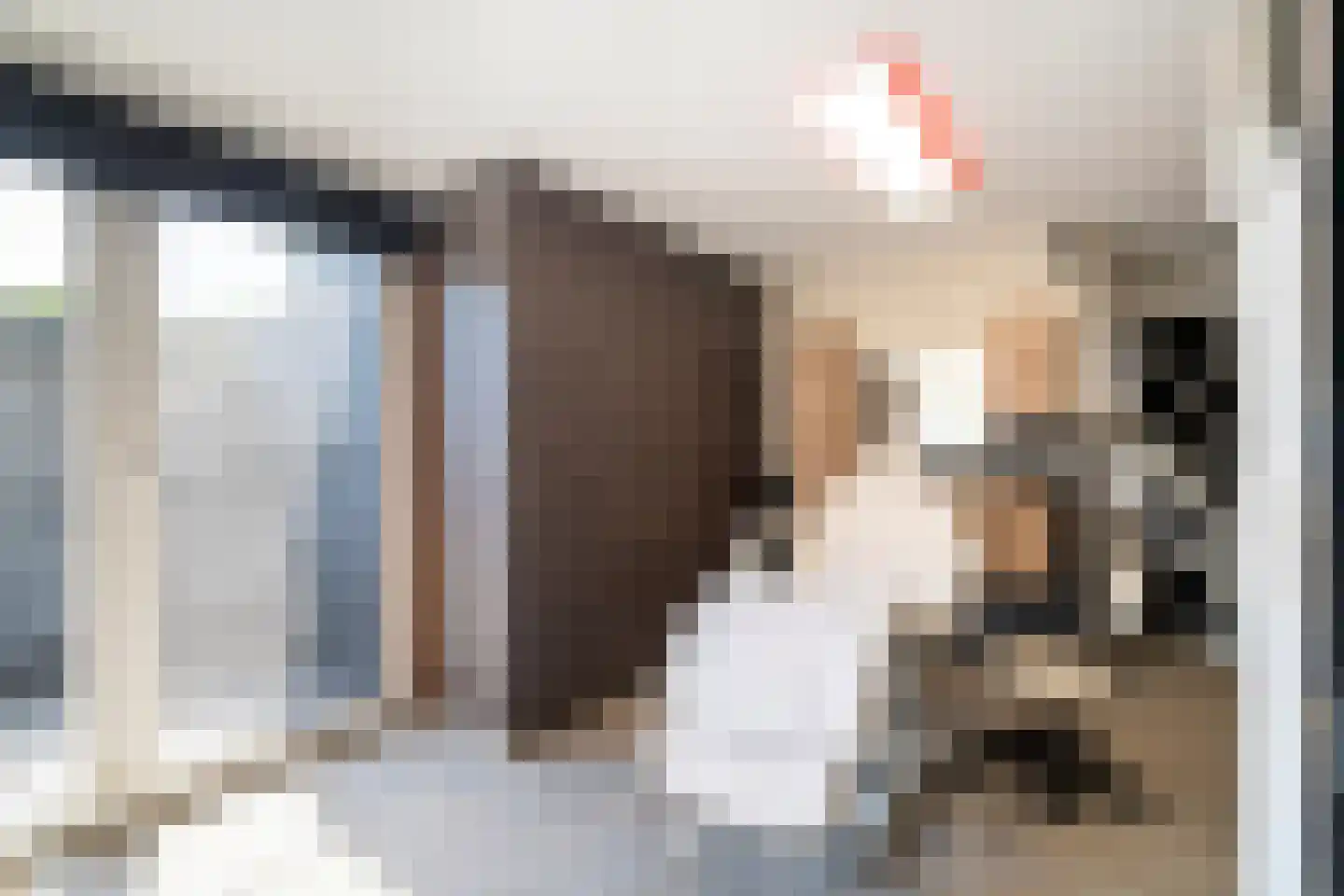 Genieskensstraat 11 Arriën thumbnail 16