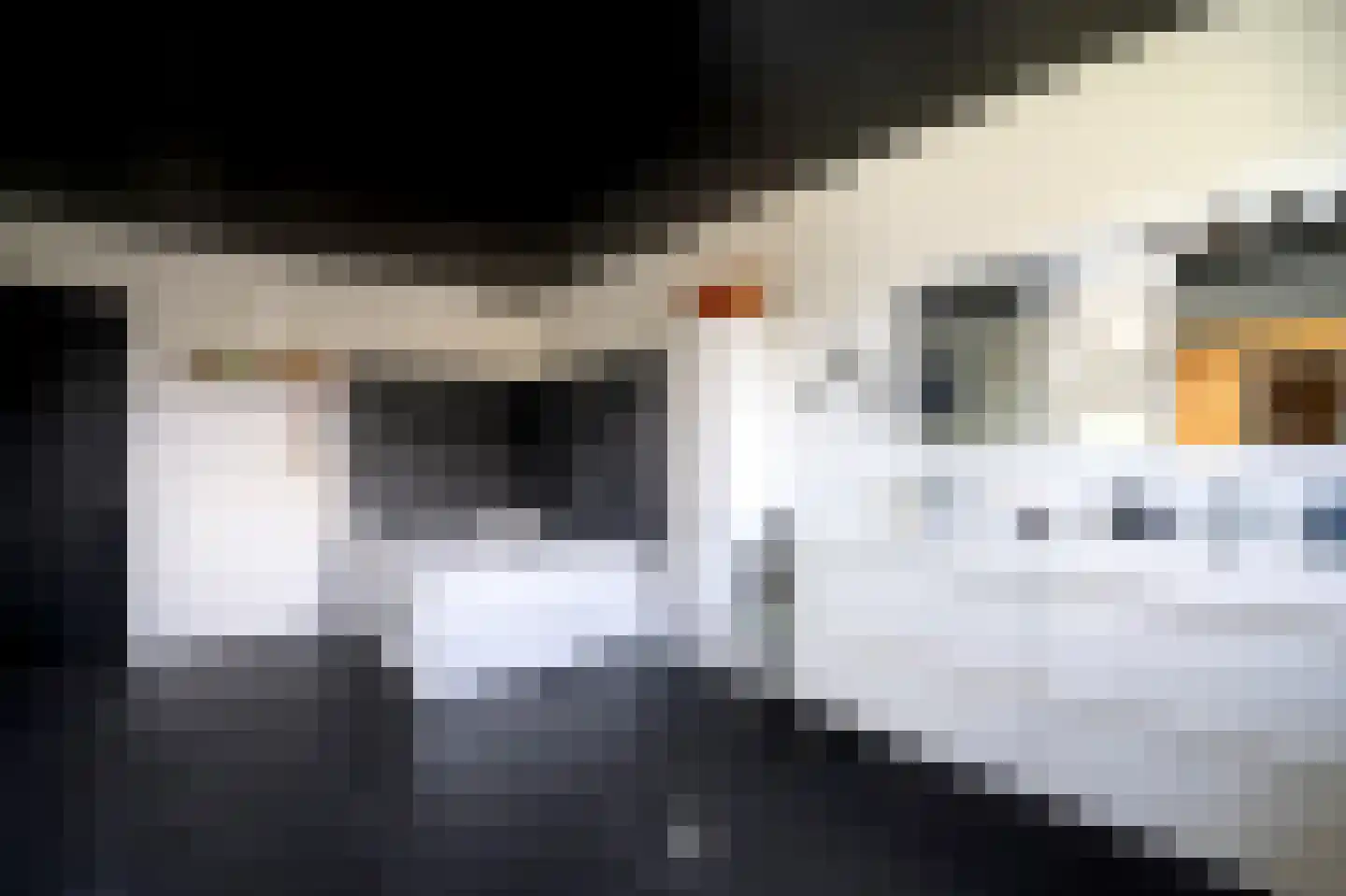 Genieskensstraat 11 Arriën thumbnail 21