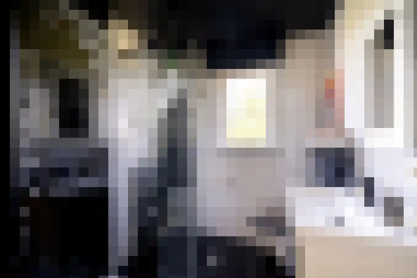 Genieskensstraat 11 Arriën thumbnail 22