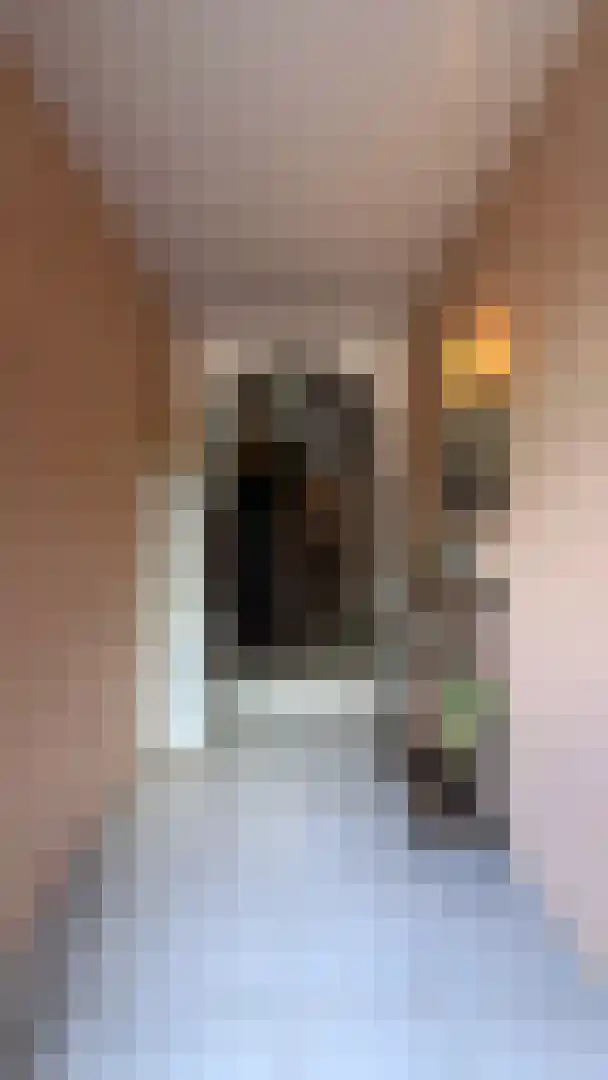Genieskensstraat 150 3630 Leut Arriën thumbnail 10