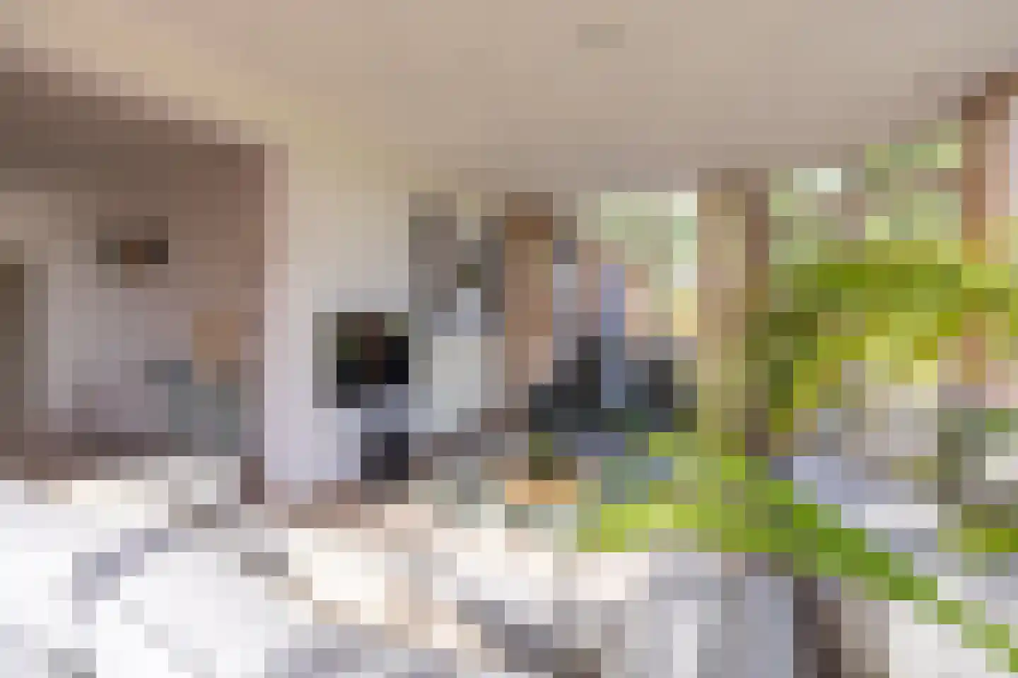 Gening 19 Afferden L thumbnail 11