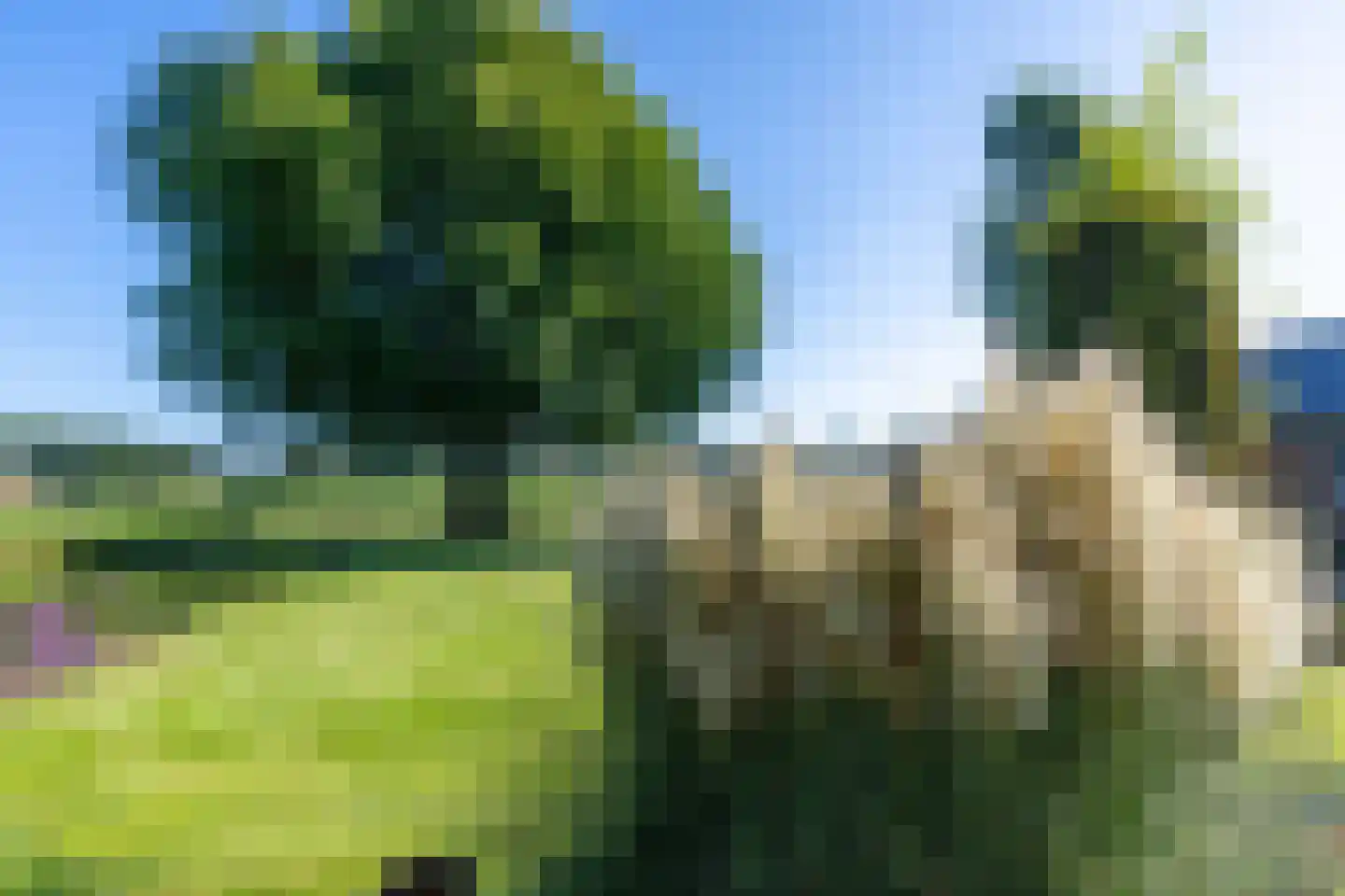 Gening 19 Afferden L thumbnail 59