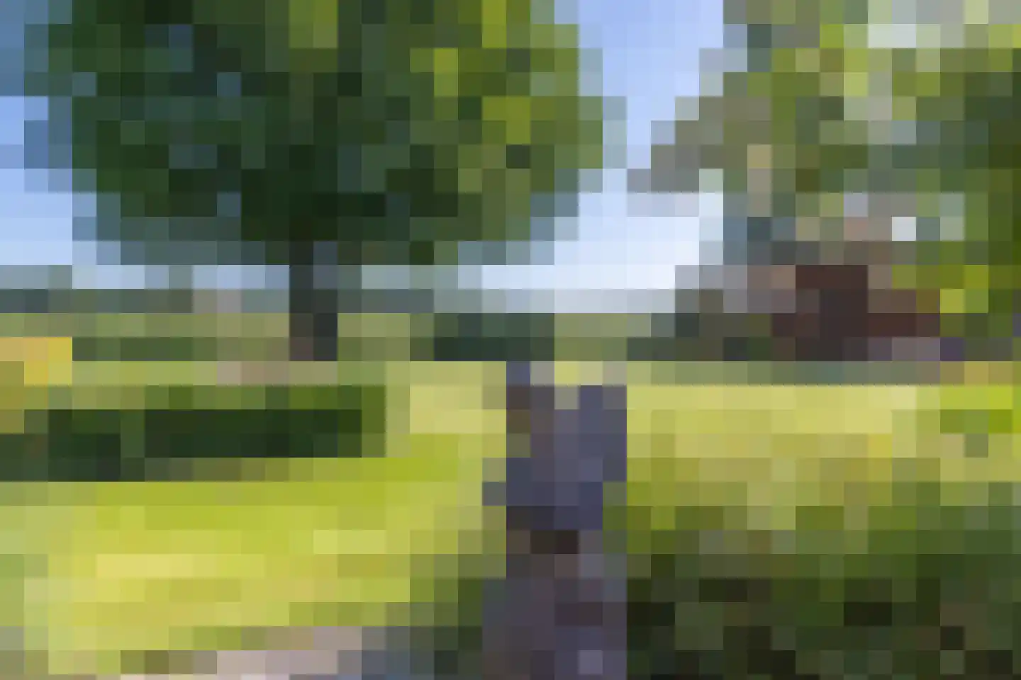 Gening 19 Afferden L thumbnail 60