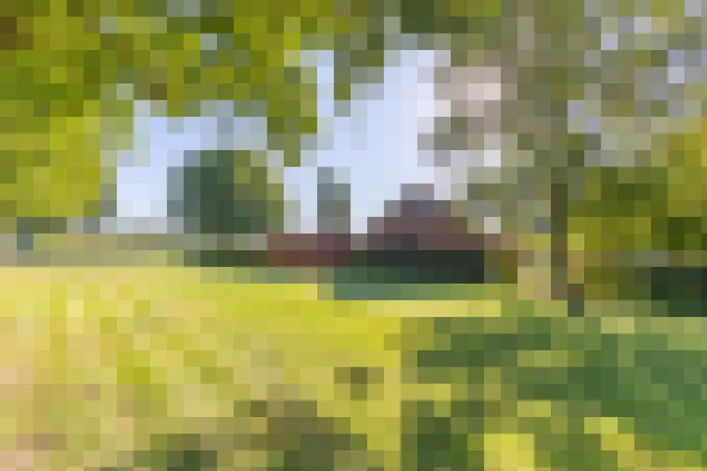Gening 19 Afferden L thumbnail 62