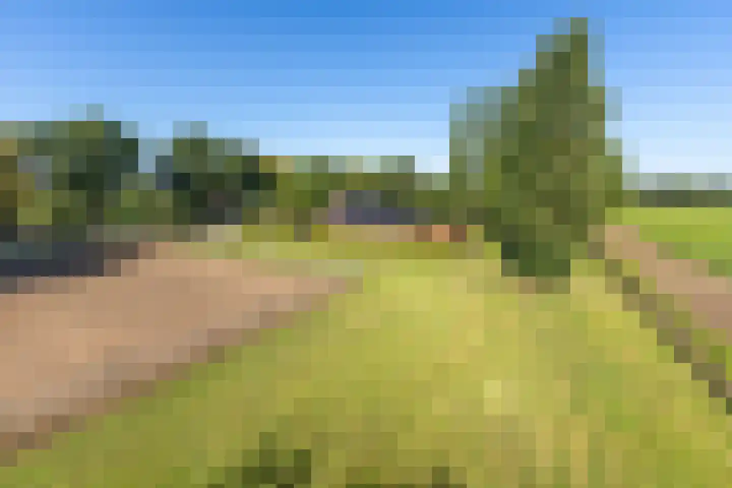 Gening 19 Afferden L thumbnail 65